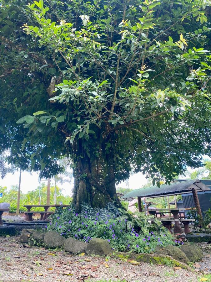 Termales Del Arenal Hotel La Fortuna Eksteriør billede