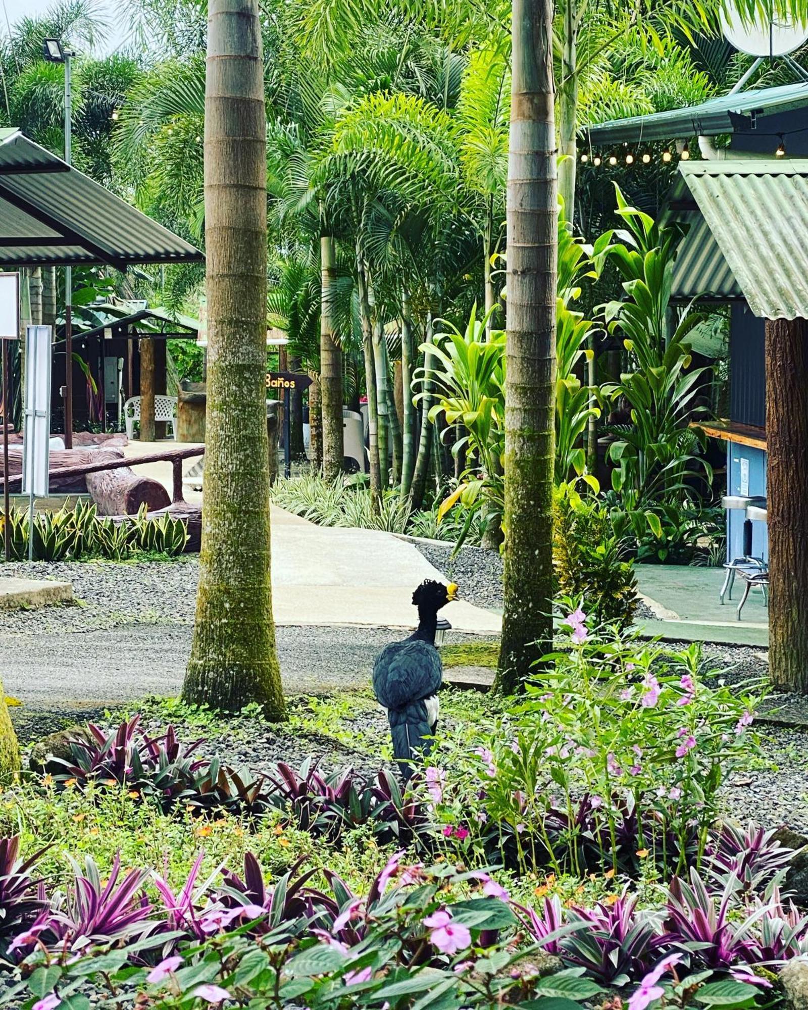 Termales Del Arenal Hotel La Fortuna Eksteriør billede